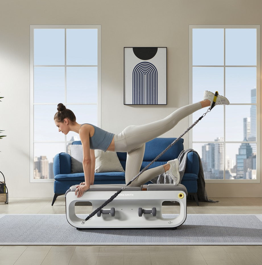 Kingsmith Gym Bench